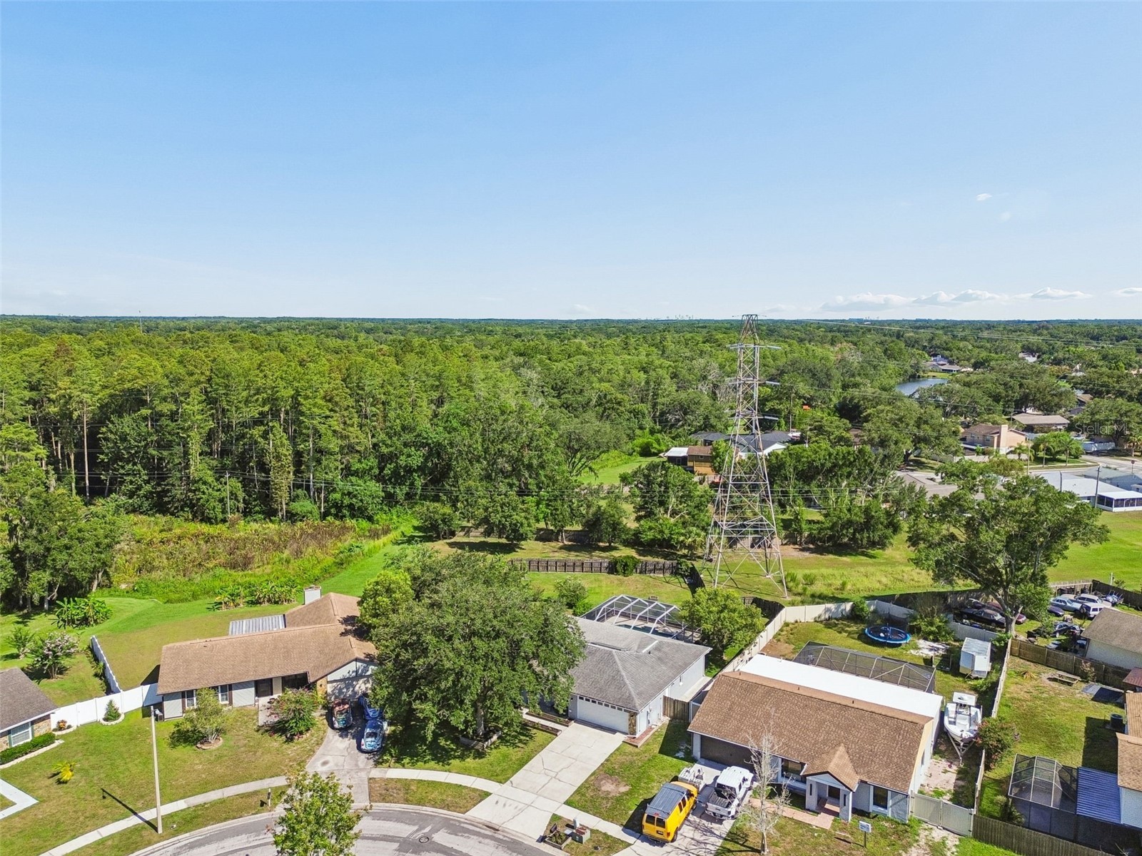 16205 Sawgrass Circle Tampa FL 33624 A4698995 image58
