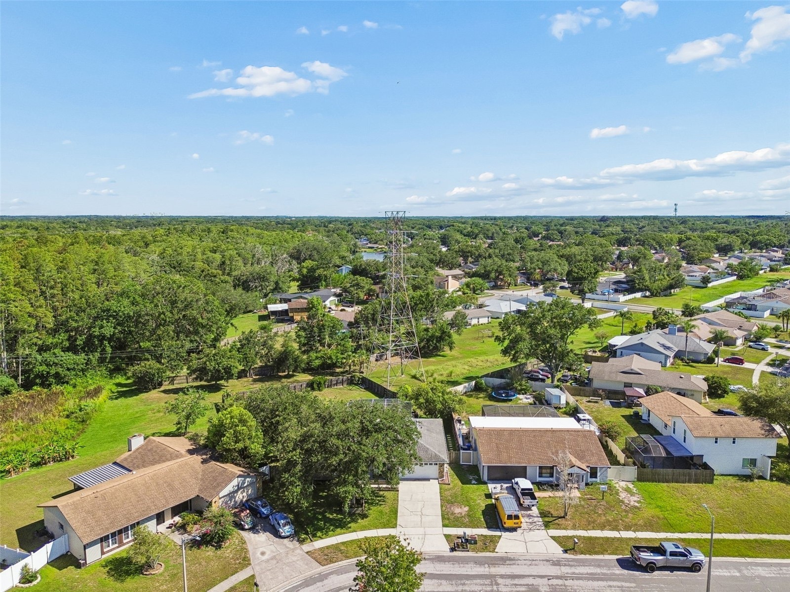16205 Sawgrass Circle Tampa FL 33624 A4698995 image59