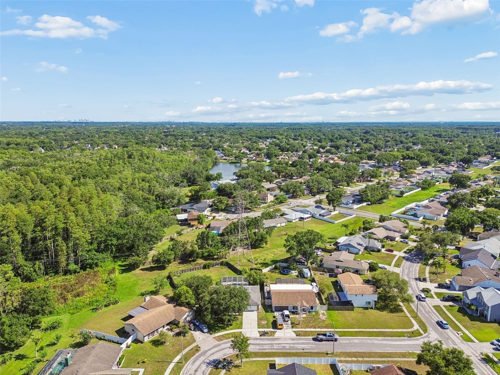 16205 Sawgrass Circle Tampa FL 33624 A4698995 image61