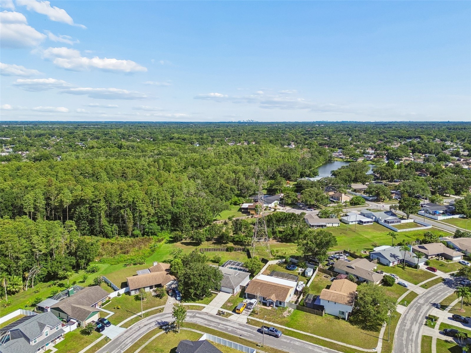 16205 Sawgrass Circle Tampa FL 33624 A4698995 image62