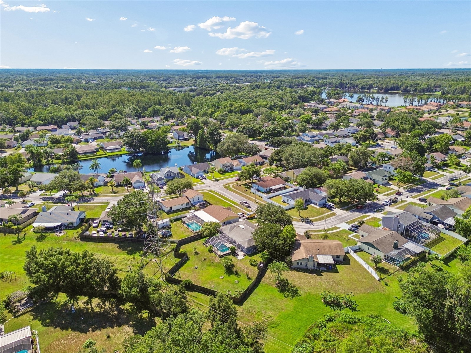 16205 Sawgrass Circle Tampa FL 33624 A4698995 image63
