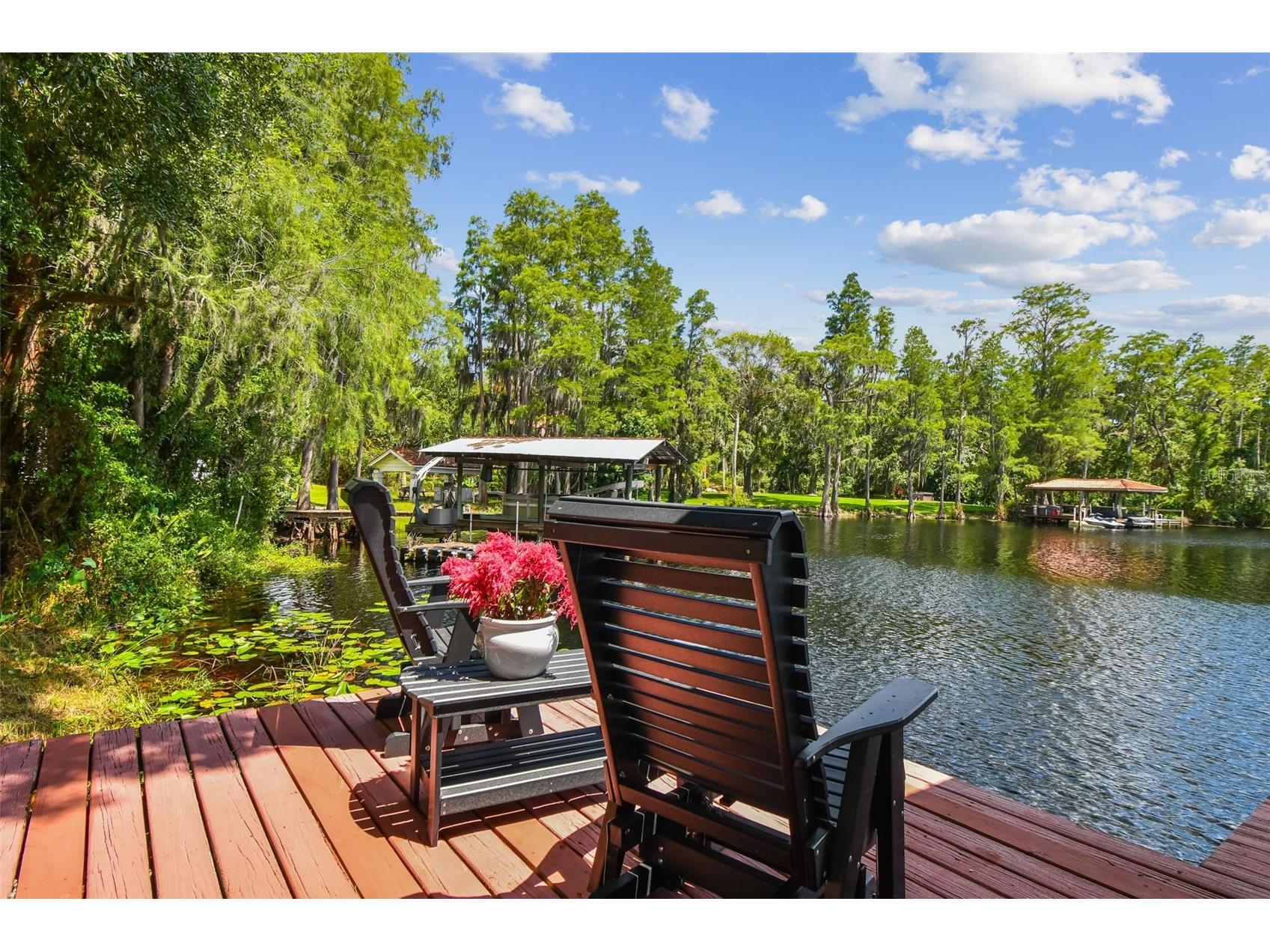 16205 Sentry Wood Court Odessa FL 33556 - LAKE PRETTY TB8488266 image3