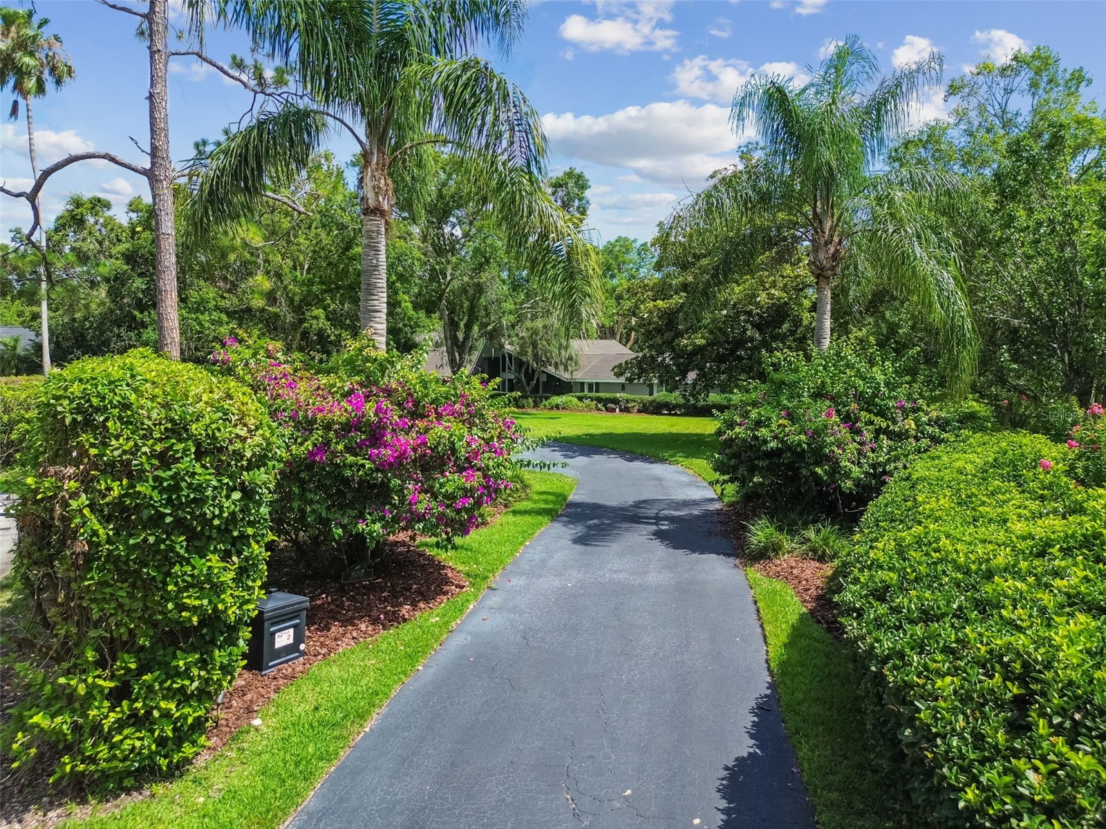 16205 Sentry Wood Court Odessa FL 33556 - LAKE PRETTY TB8488266 image6