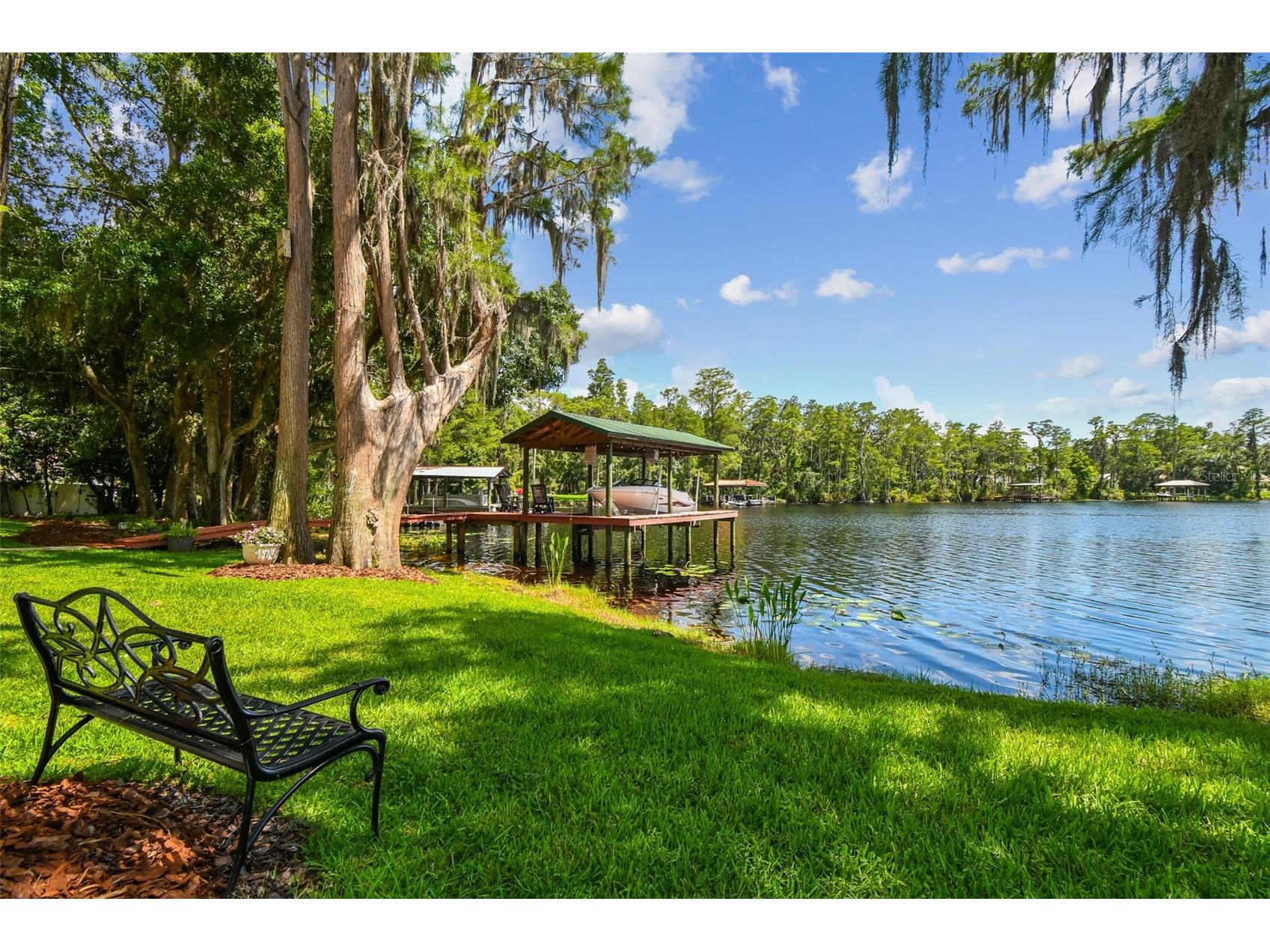 16205 Sentry Wood Court Odessa FL 33556 - LAKE PRETTY TB8488266 image60