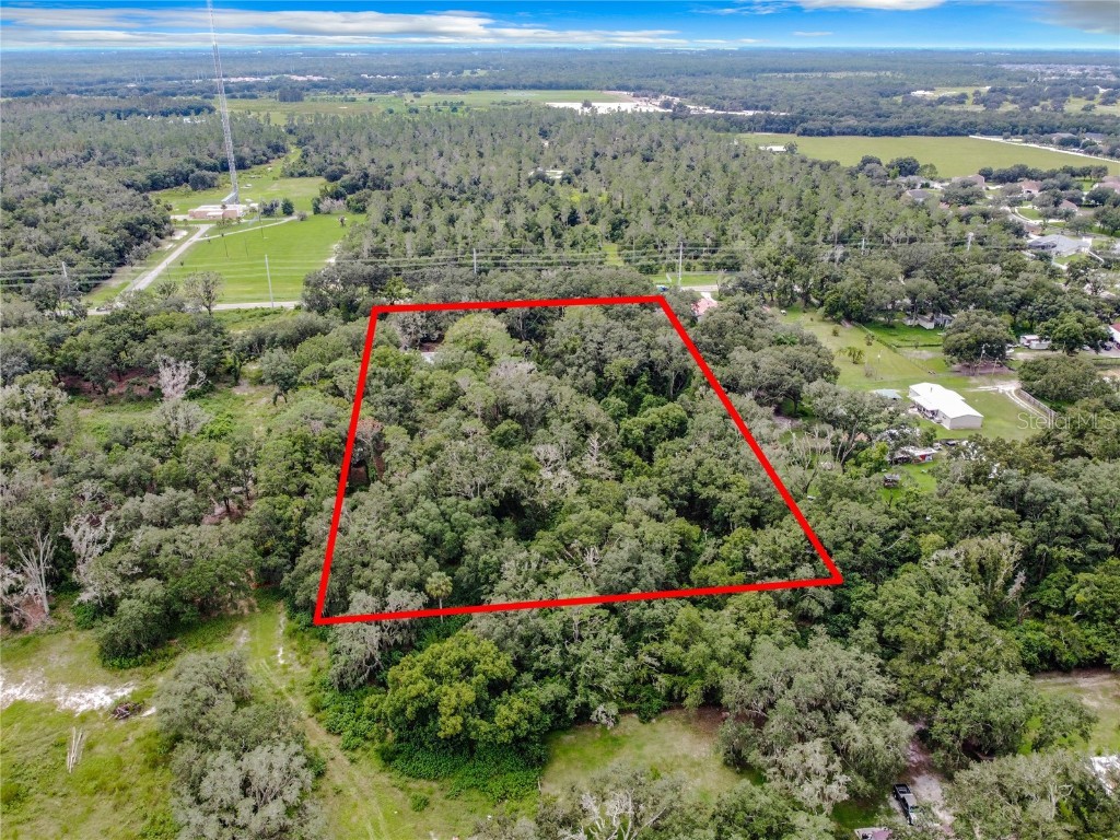 16206 Boyette Road Riverview FL 33579 TB8331020 image3