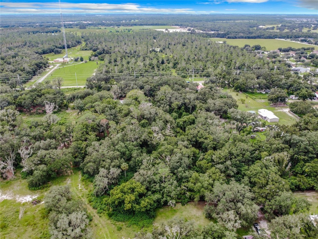 16206 Boyette Road Riverview FL 33579 TB8331020 image5