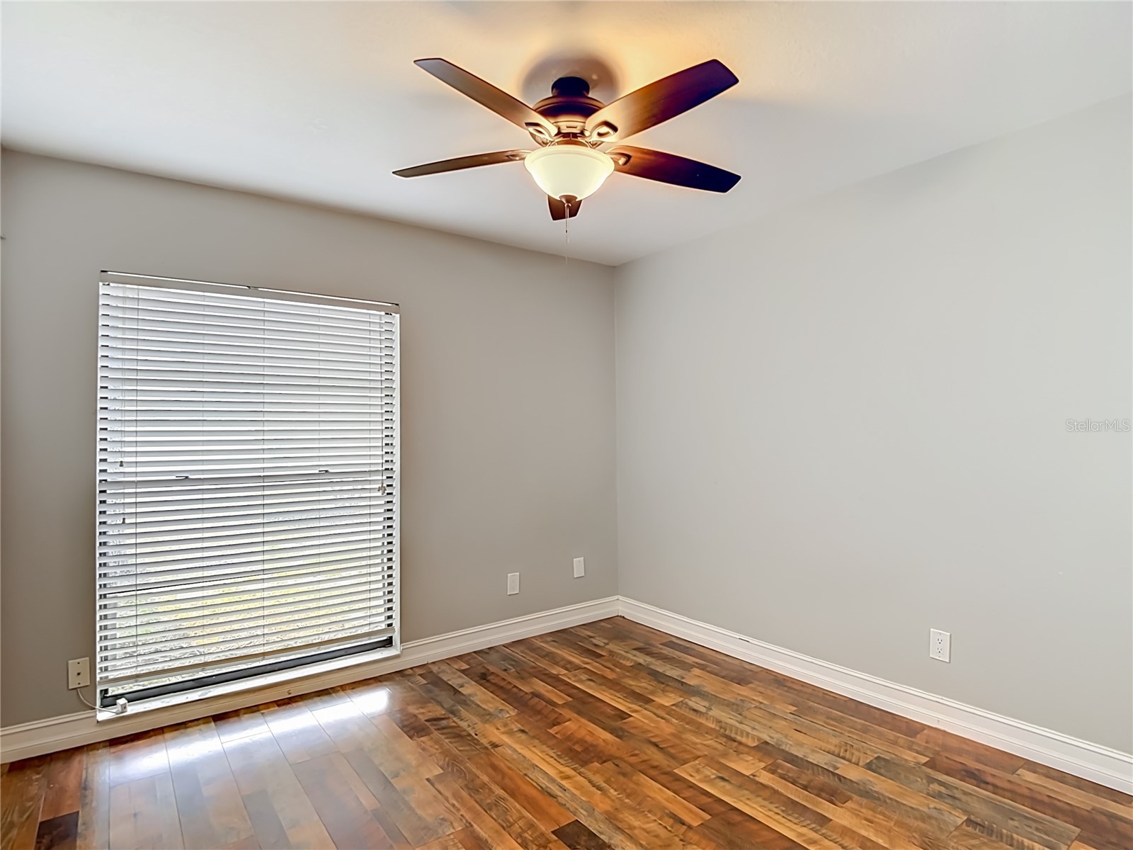 16206 Fantasia Drive Tampa FL 33624 TB8508371 image45