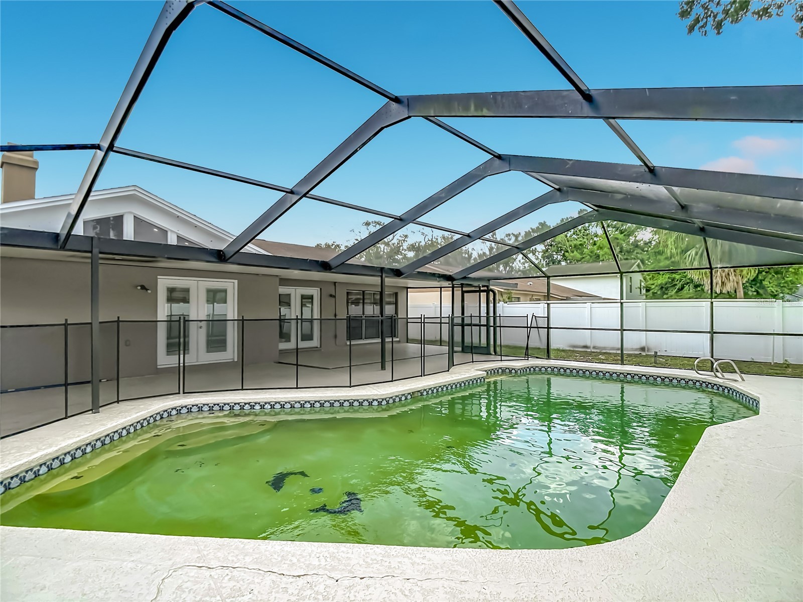 16206 Fantasia Drive Tampa FL 33624 TB8508371 image66