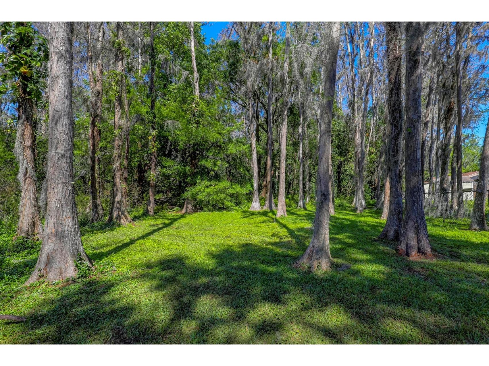16206 Sagebrush Road Tampa FL 33618 TB8489022 image28