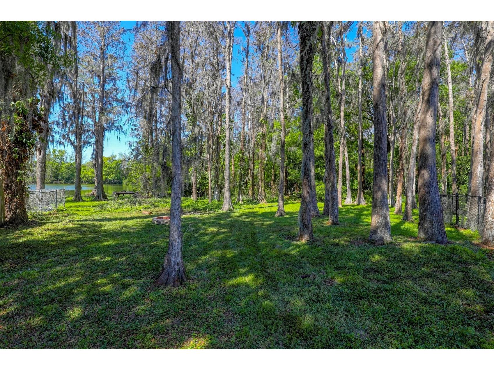 16206 Sagebrush Road Tampa FL 33618 TB8489022 image31