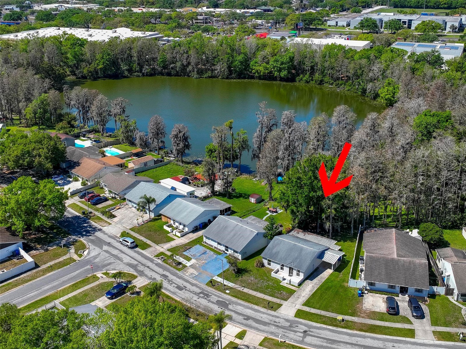 16206 Sagebrush Road Tampa FL 33618 TB8489022 image32