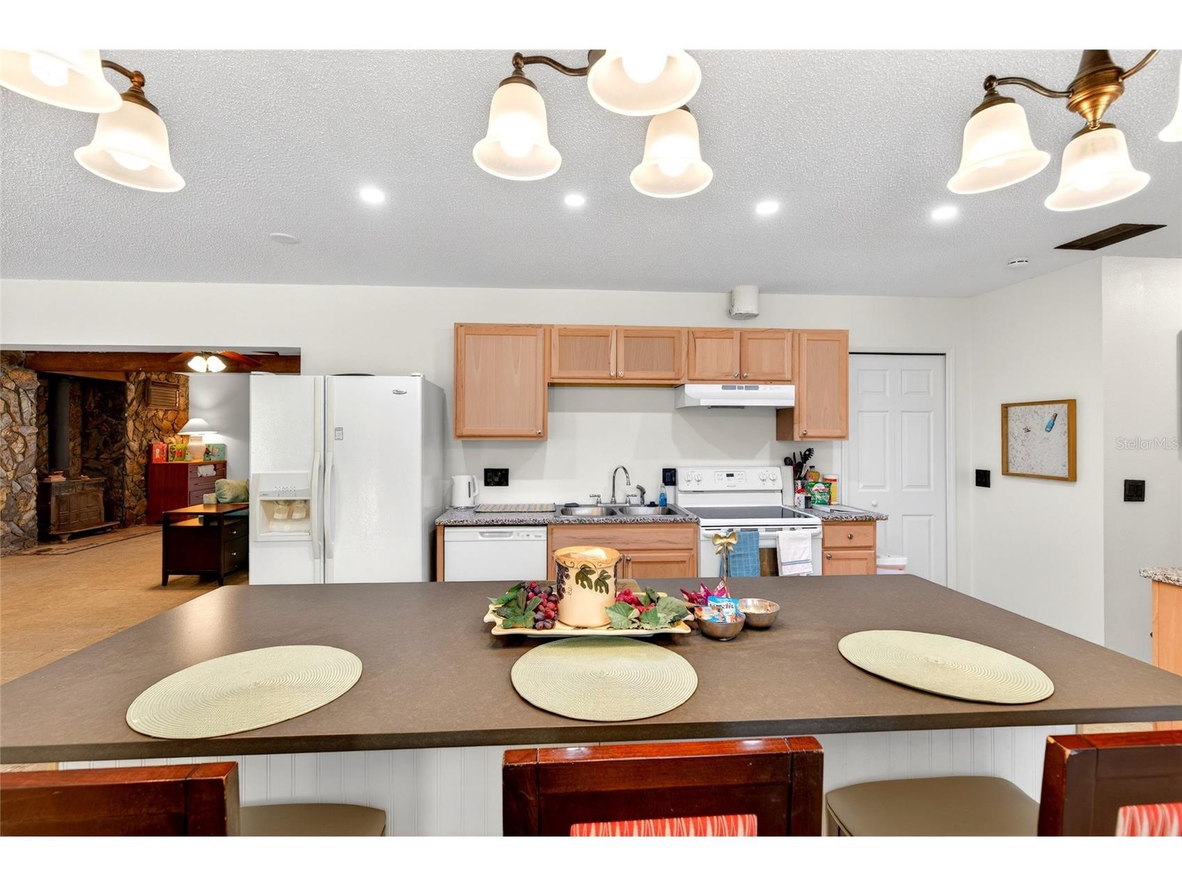 16206 Sea Pines Drive Hudson FL 34667 OM725447 image16