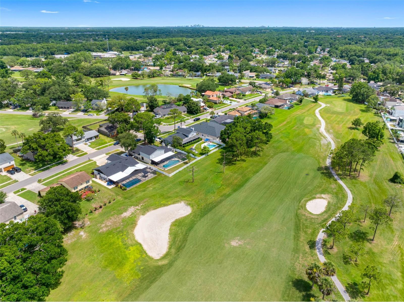 16206 W Course Drive Tampa FL 33624 TB8517337 image57