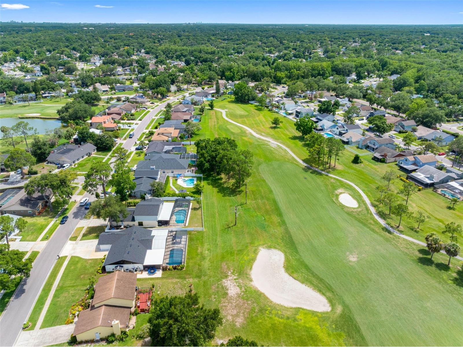 16206 W Course Drive Tampa FL 33624 TB8517337 image58