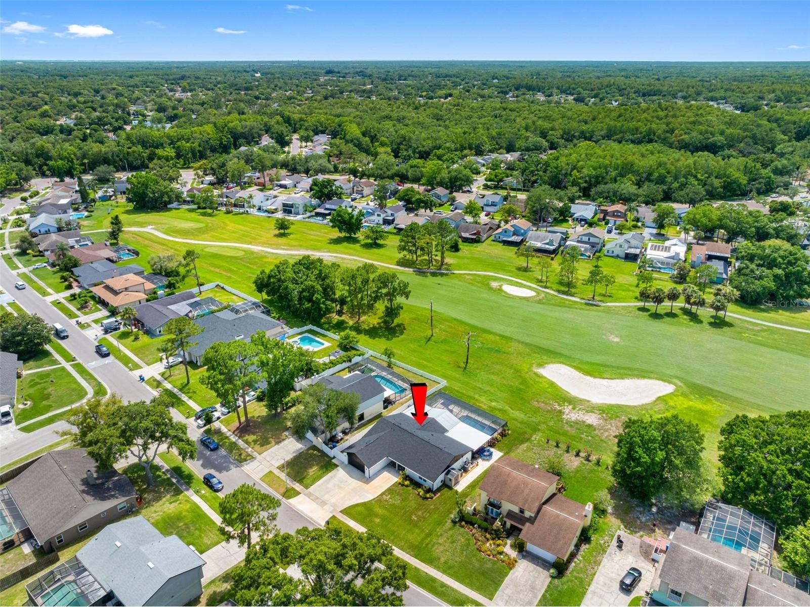 16206 W Course Drive Tampa FL 33624 TB8517337 image59