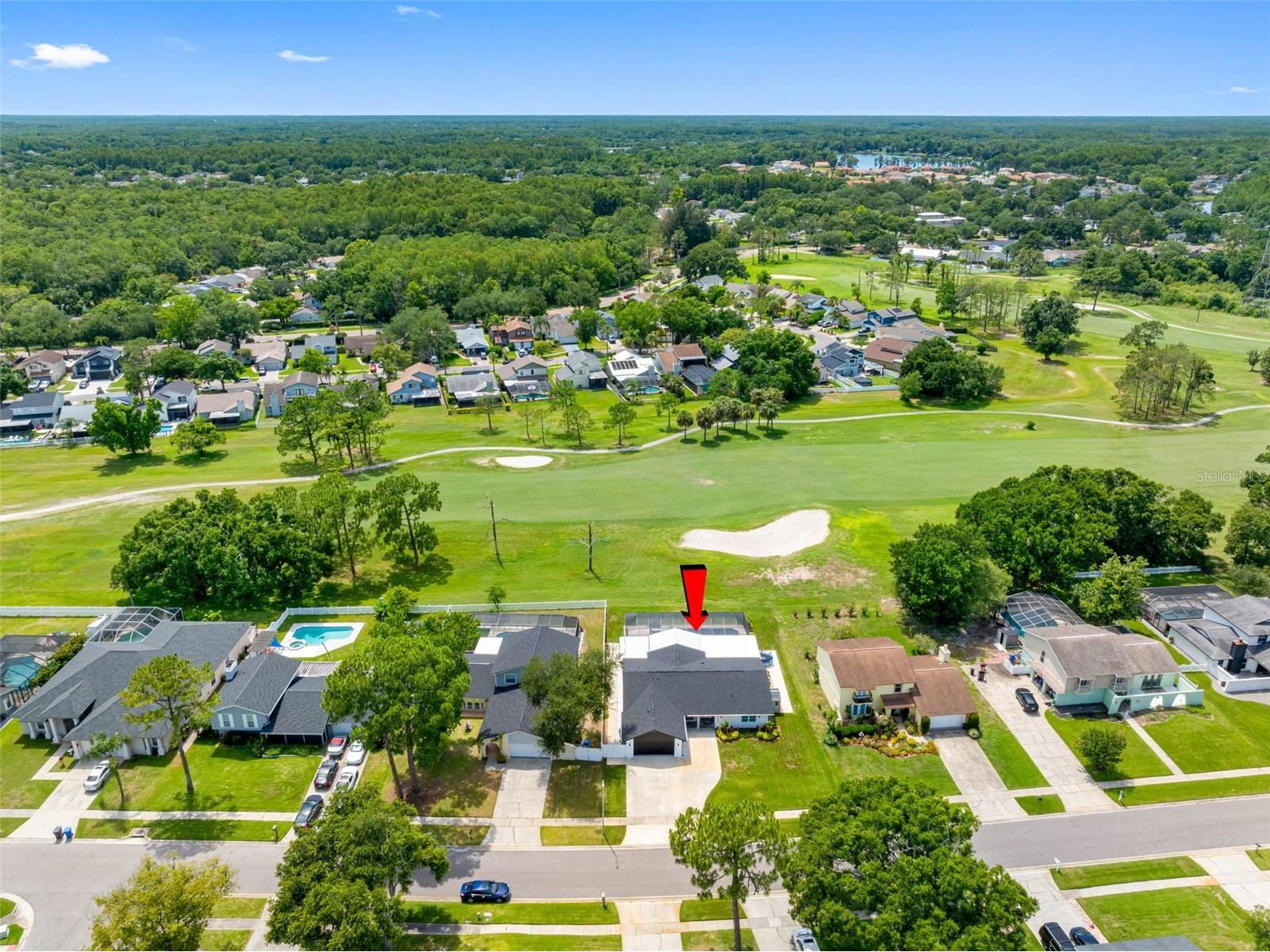 16206 W Course Drive Tampa FL 33624 TB8517337 image60