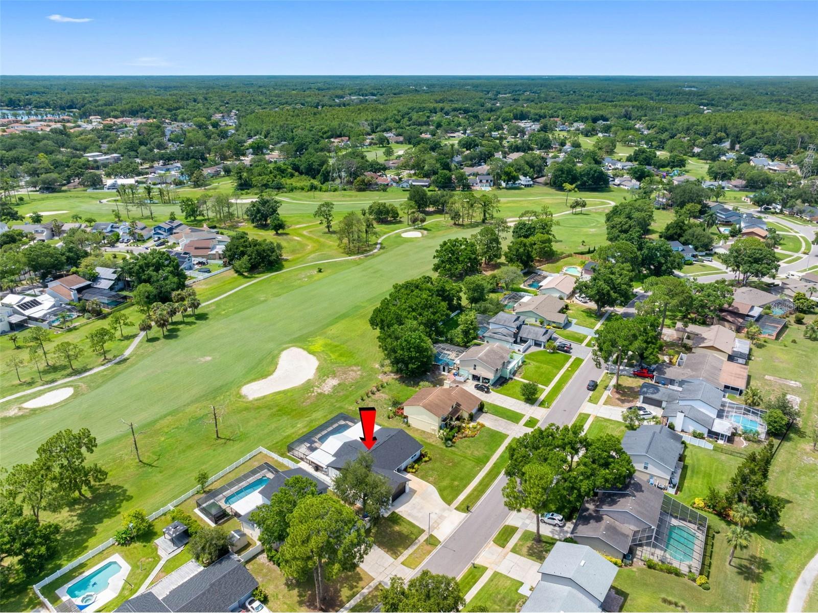 16206 W Course Drive Tampa FL 33624 TB8517337 image61