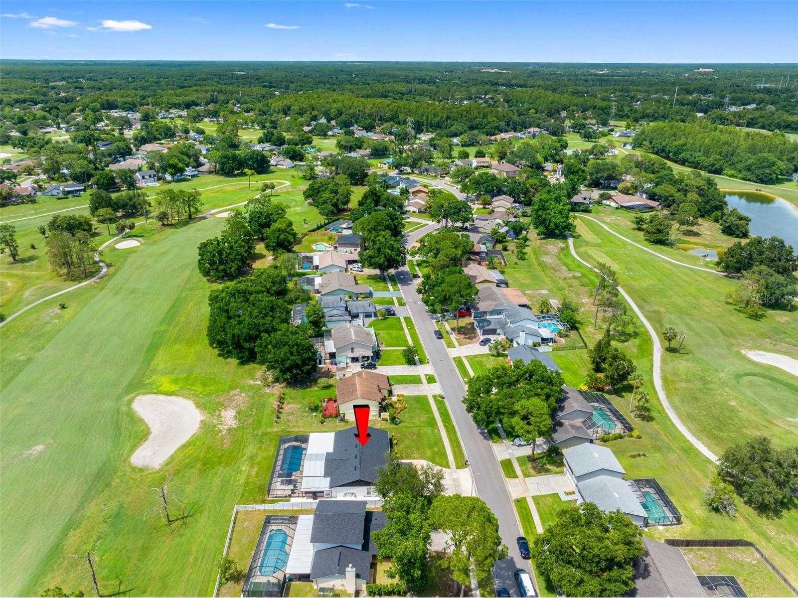 16206 W Course Drive Tampa FL 33624 TB8517337 image63