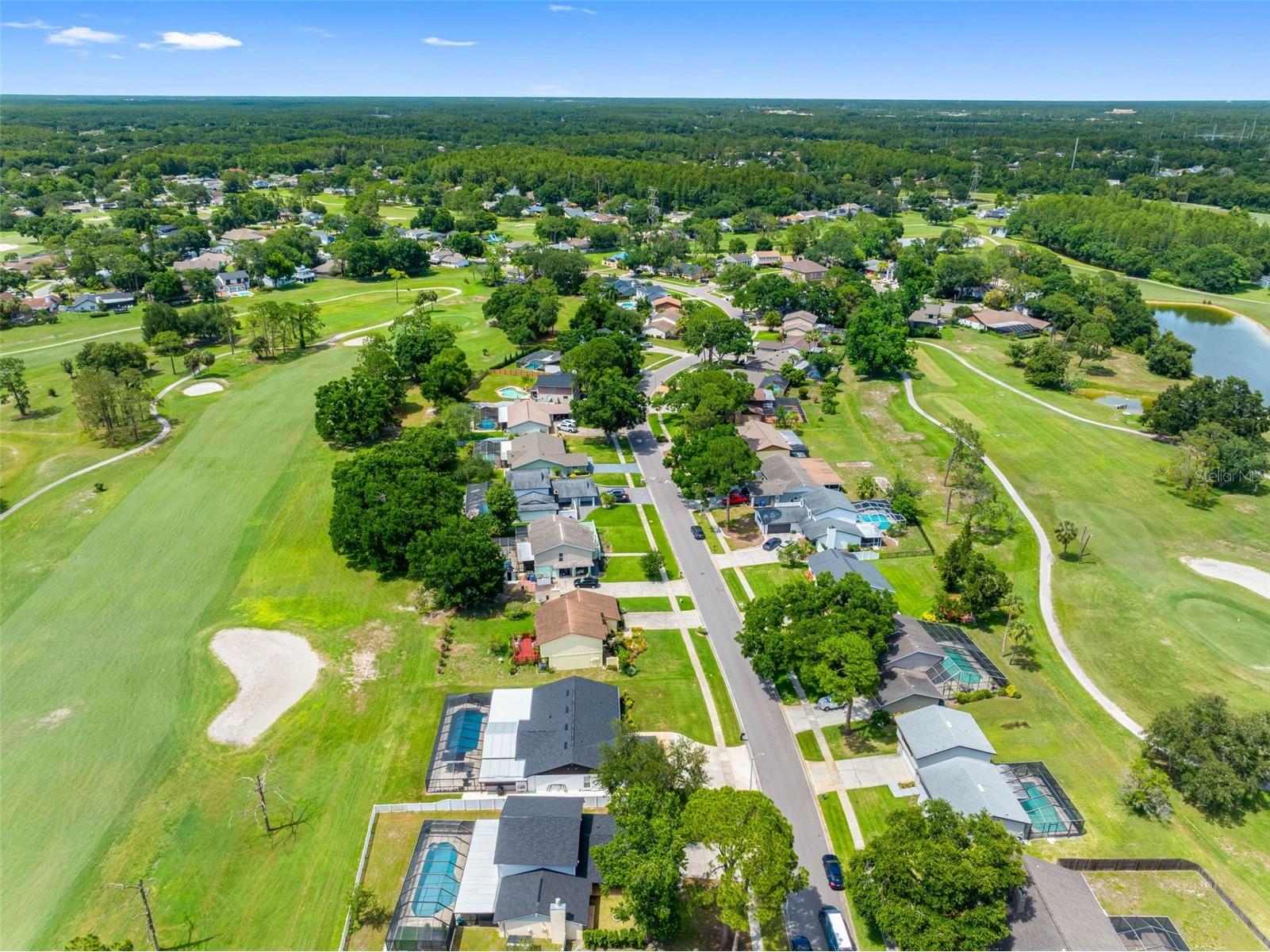 16206 W Course Drive Tampa FL 33624 TB8517337 image64