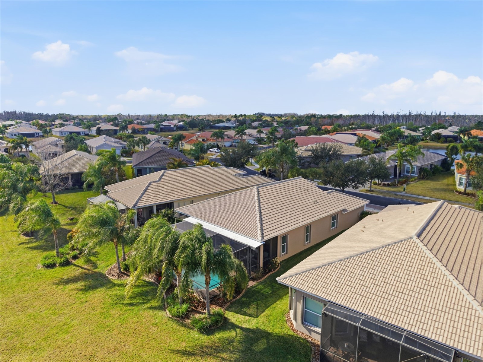 16207 Cape Coral Drive Wimauma FL 33598 TB8475124 image40