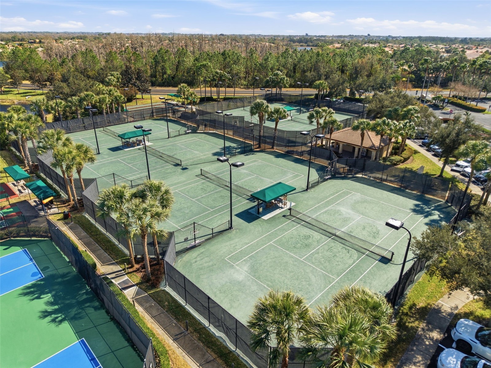 16207 Cape Coral Drive Wimauma FL 33598 TB8475124 image52