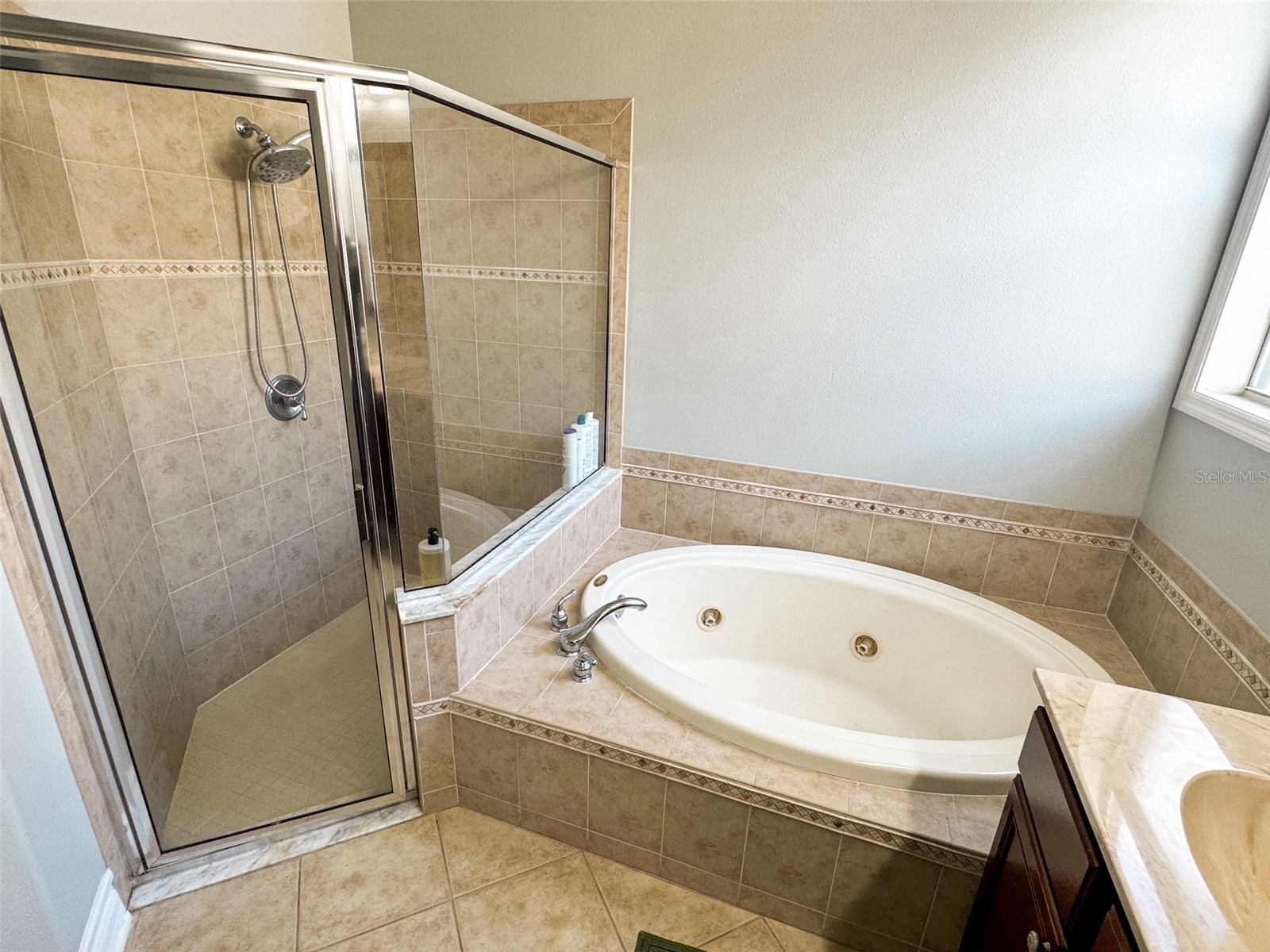 16207 Rambling Road Odessa FL 33556 TB8514340 image22