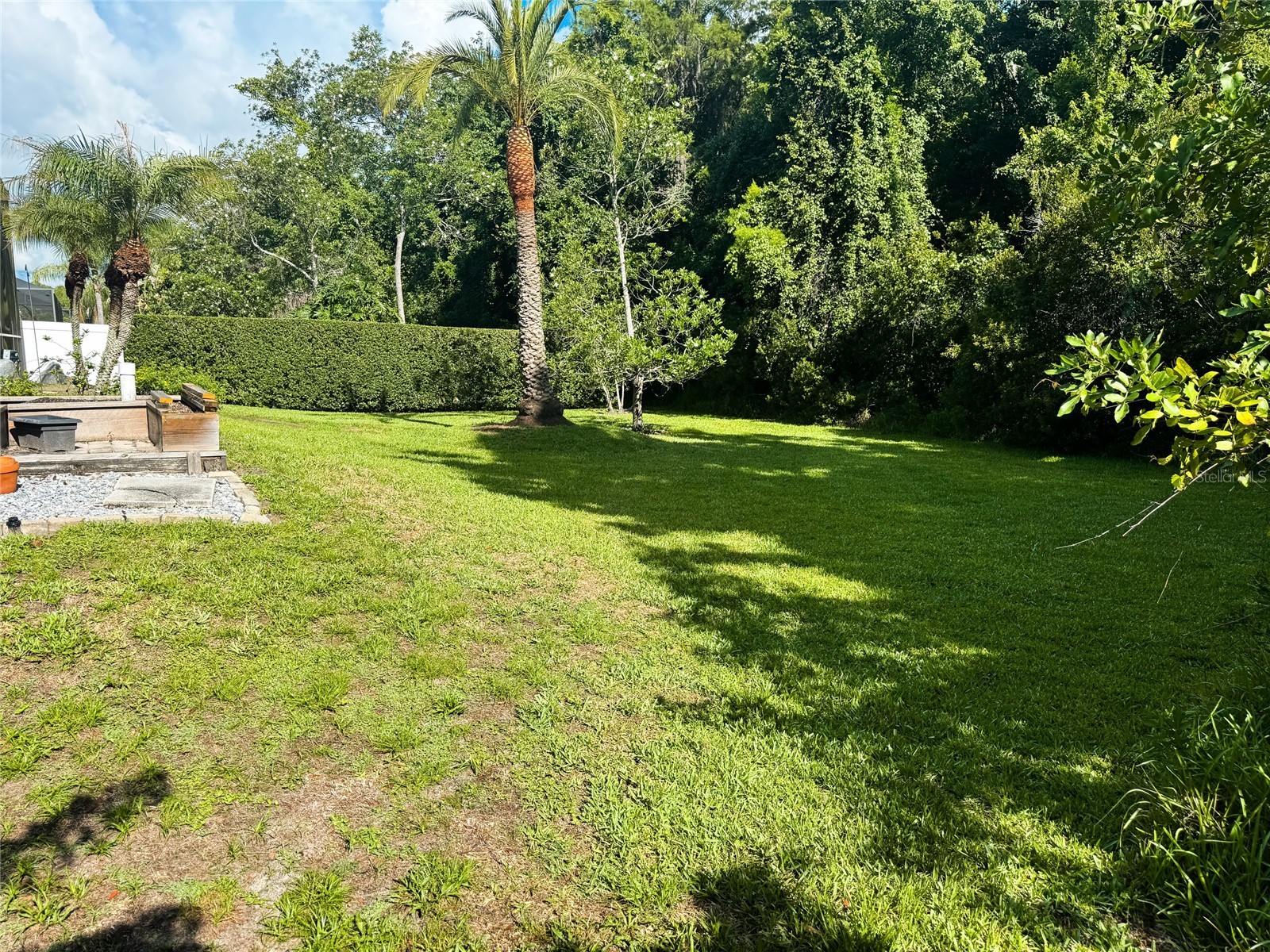 16207 Rambling Road Odessa FL 33556 TB8514340 image24