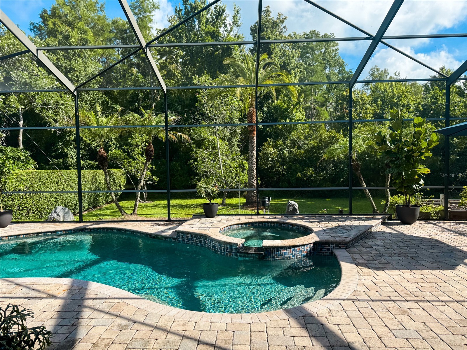 16207 Rambling Road Odessa FL 33556 TB8514340 image4