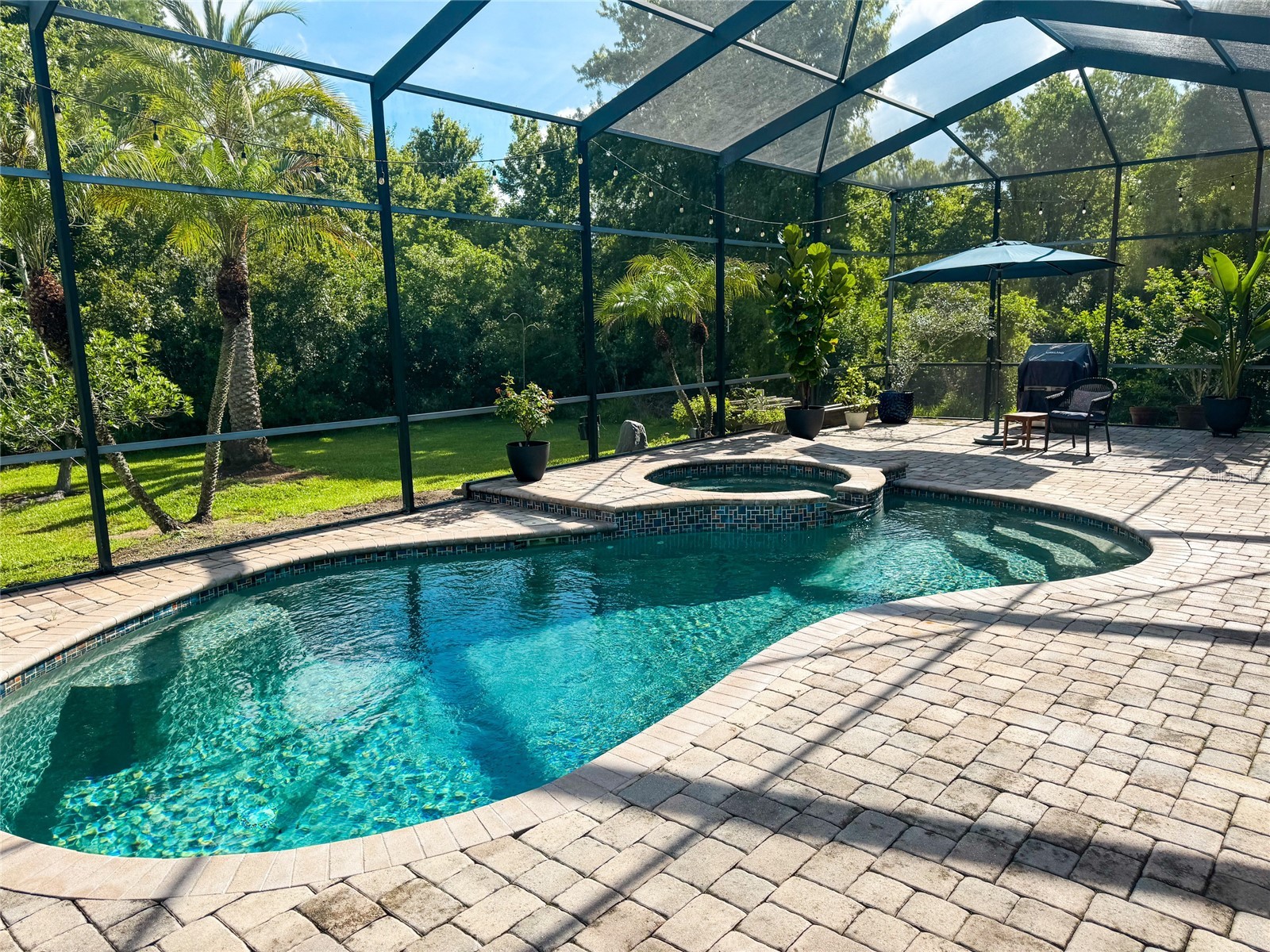 16207 Rambling Road Odessa FL 33556 TB8514340 image5