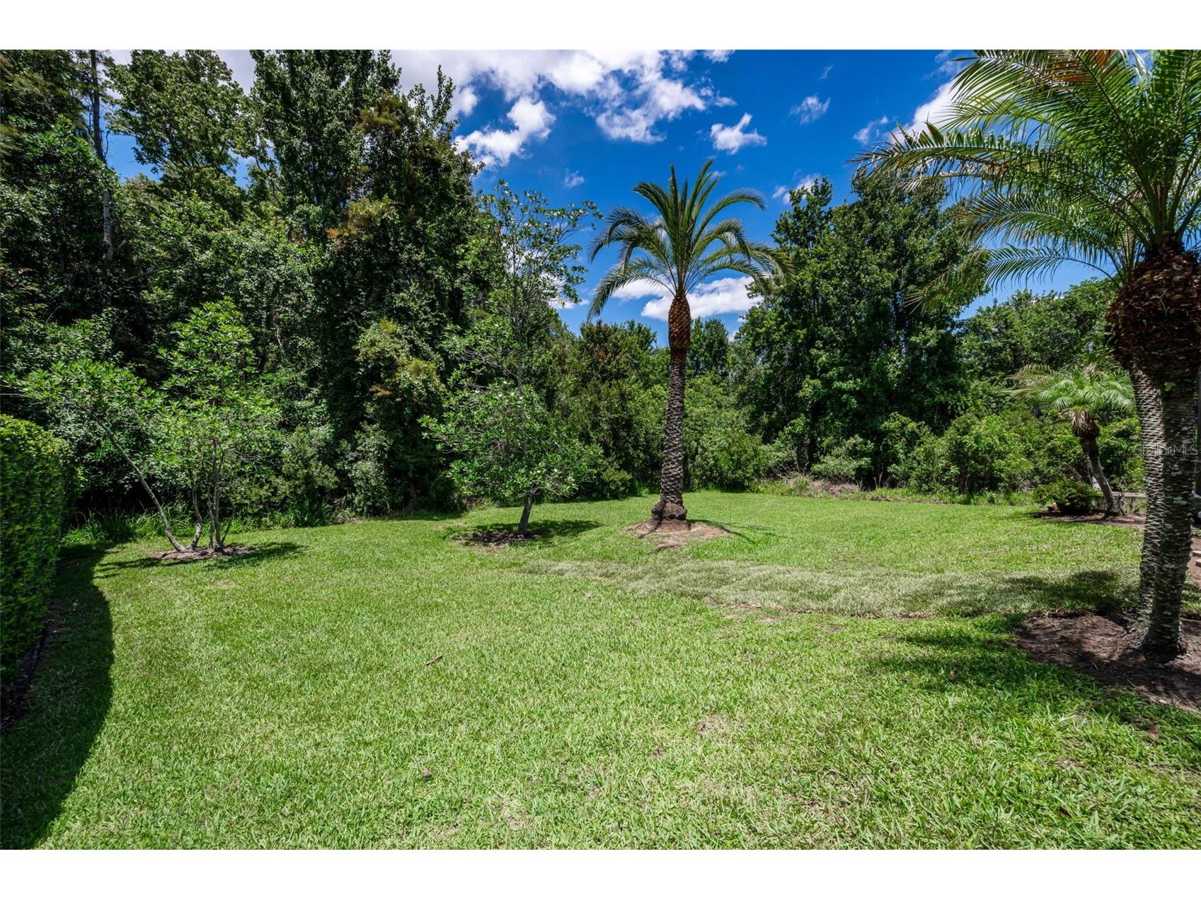 16207 Rambling Road Odessa FL 33556 TB8514340 image50