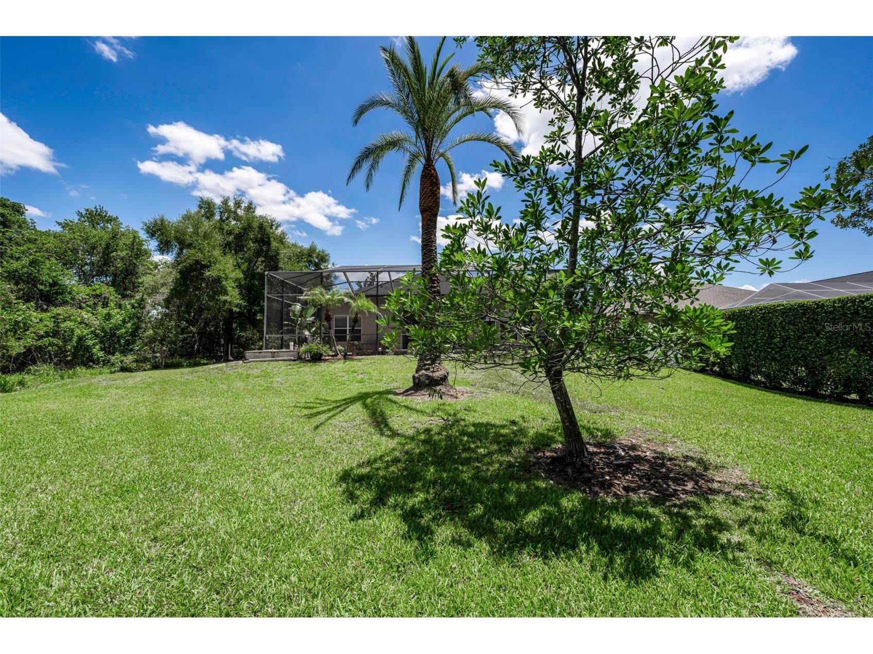 16207 Rambling Road Odessa FL 33556 TB8514340 image53