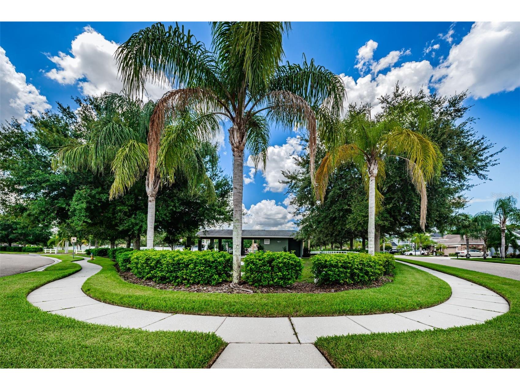 16207 Rambling Road Odessa FL 33556 TB8514340 image65