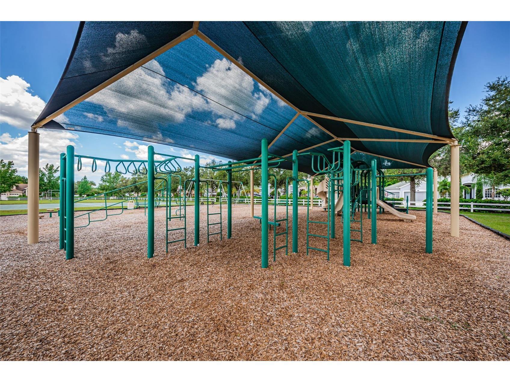 16207 Rambling Road Odessa FL 33556 TB8514340 image66