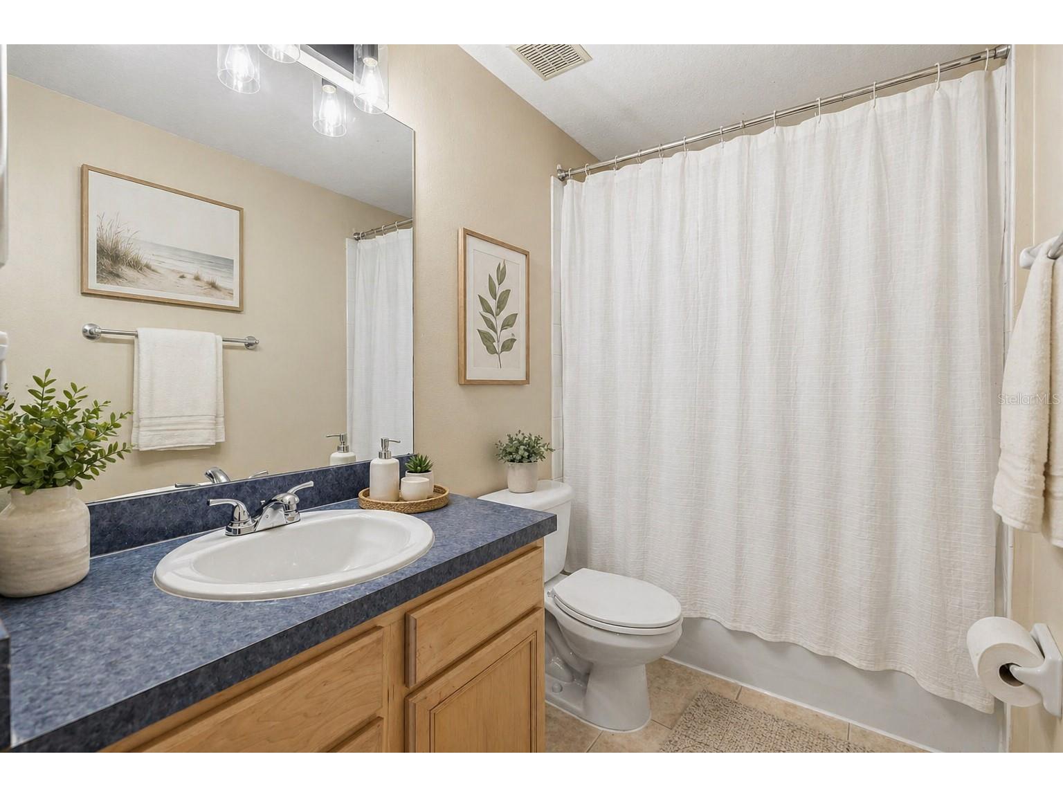 16208 Swenson Terrace Lutz FL 33549 TB8502917 image10
