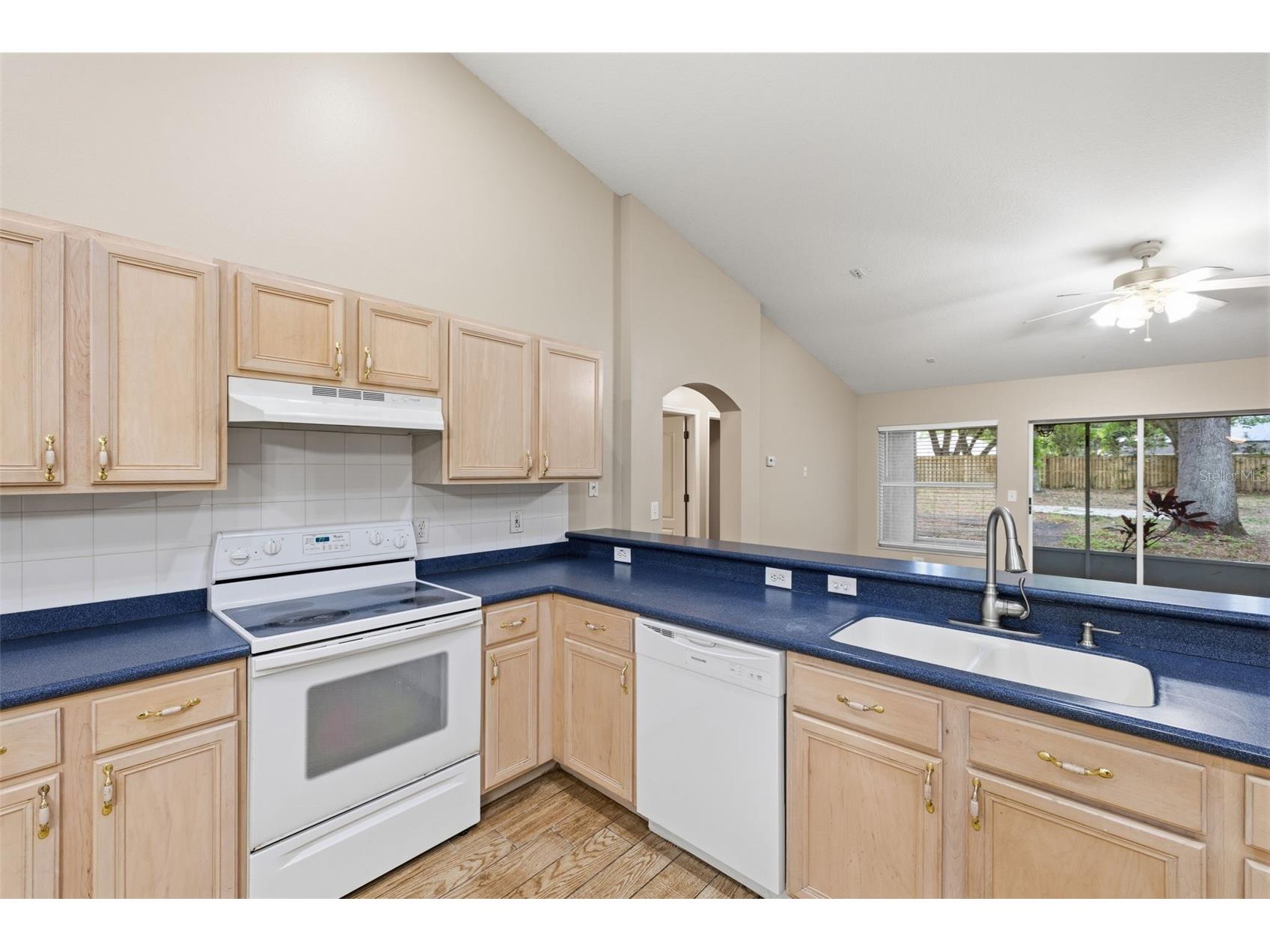 16208 Swenson Terrace Lutz FL 33549 TB8502917 image22