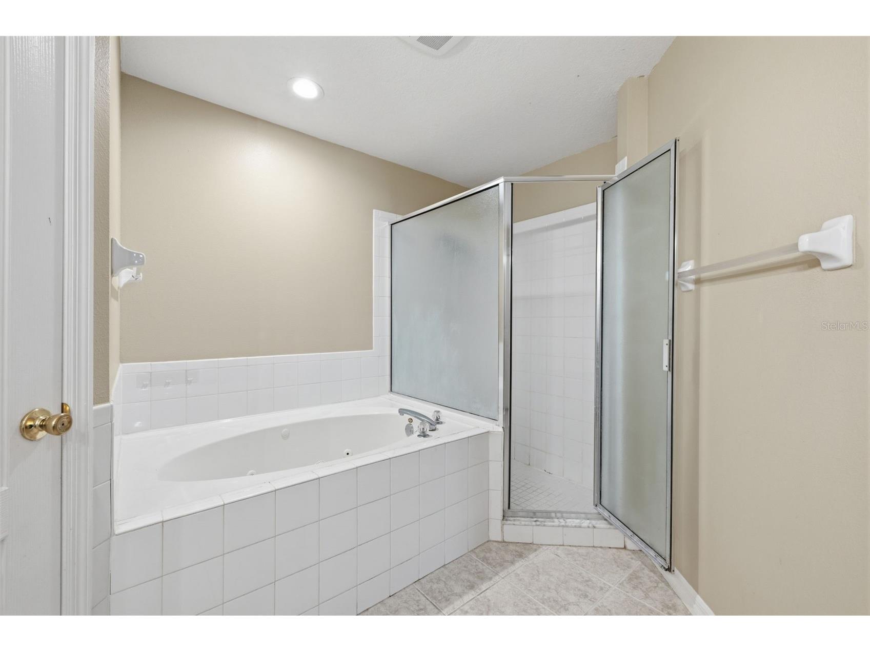 16208 Swenson Terrace Lutz FL 33549 TB8502917 image35