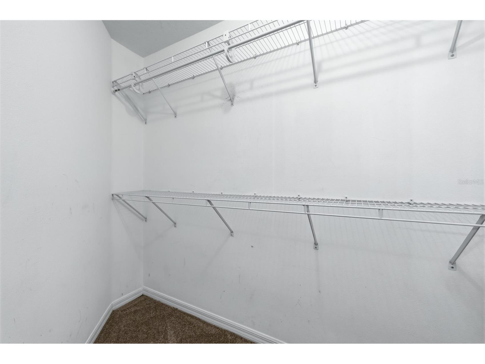 16208 Swenson Terrace Lutz FL 33549 TB8502917 image36