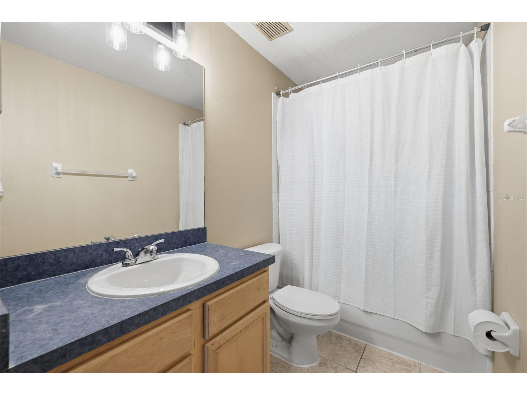 16208 Swenson Terrace Lutz FL 33549 TB8502917 image38