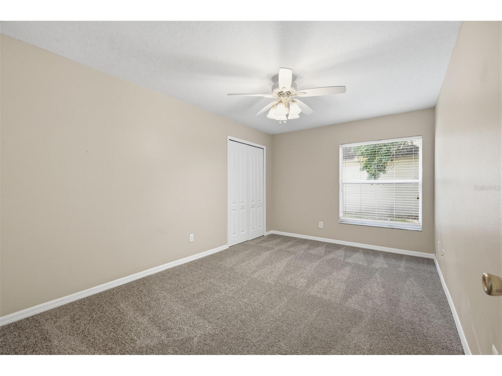16208 Swenson Terrace Lutz FL 33549 TB8502917 image39