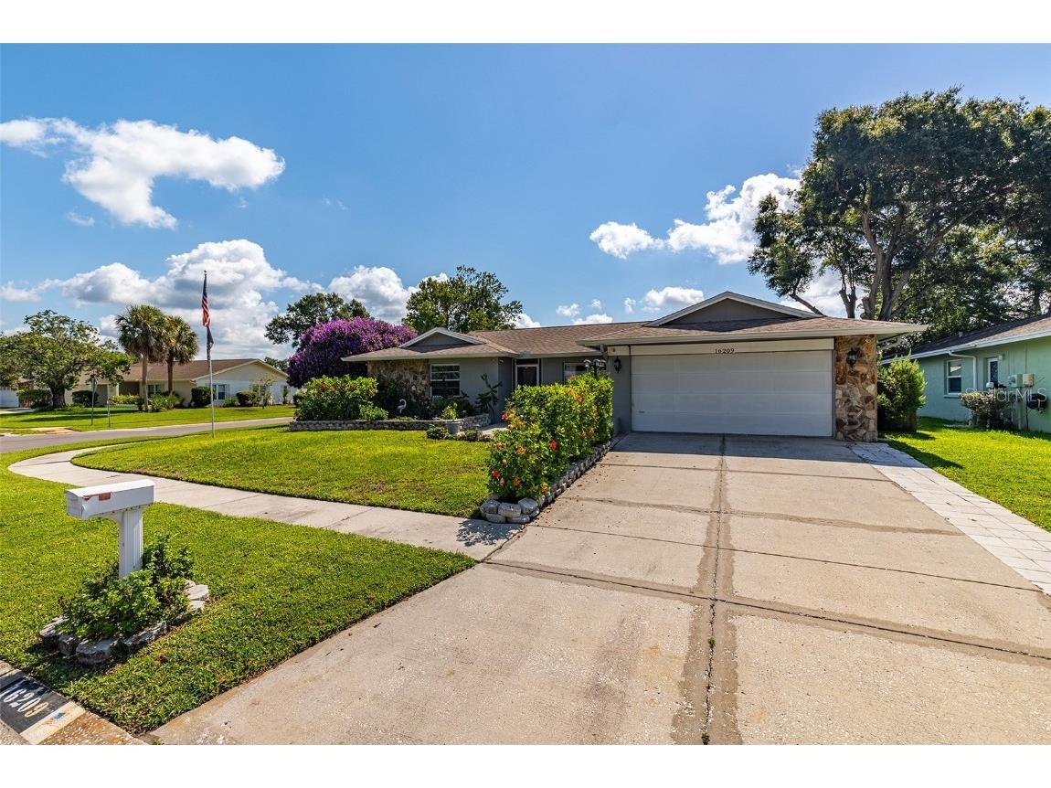 16209 Oakmanor Drive Tampa FL 33624 T3465392 image1