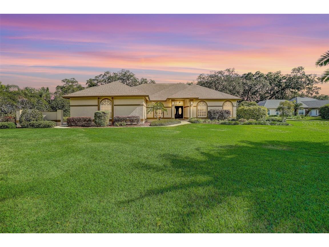 16209 Sentry Woods Court Odessa FL 33556 T3501324 image1