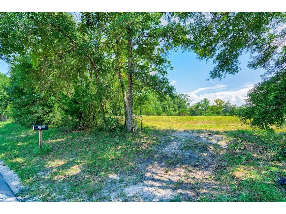 16209 SW County Road 346 Archer FL 32618 GC533216 image1