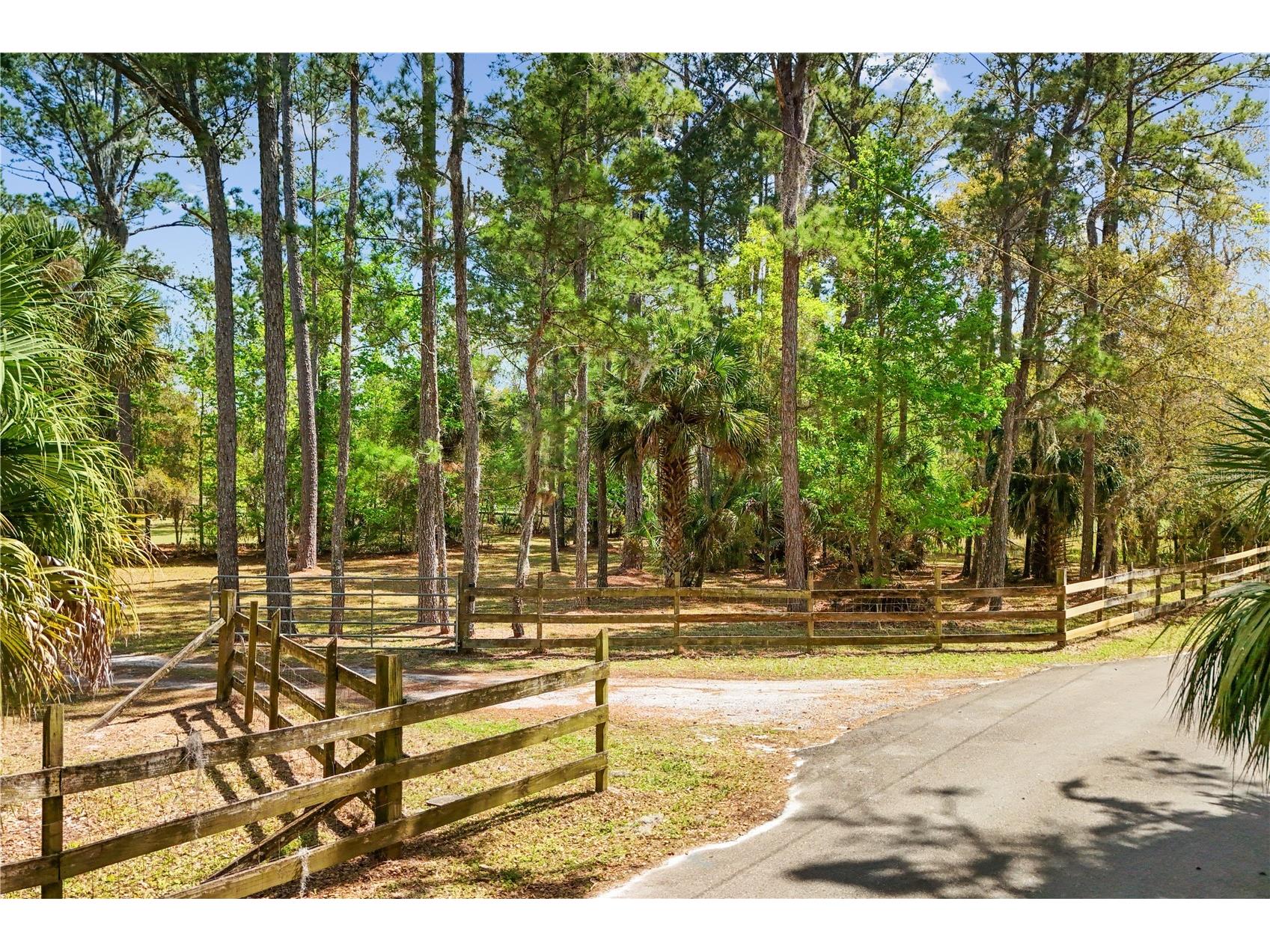 1621 Barr Oviedo FL 32765 O6392815 image41