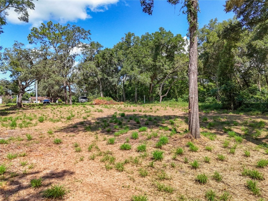 1621 Clarcona Road Apopka FL 32703 O6331277 image8