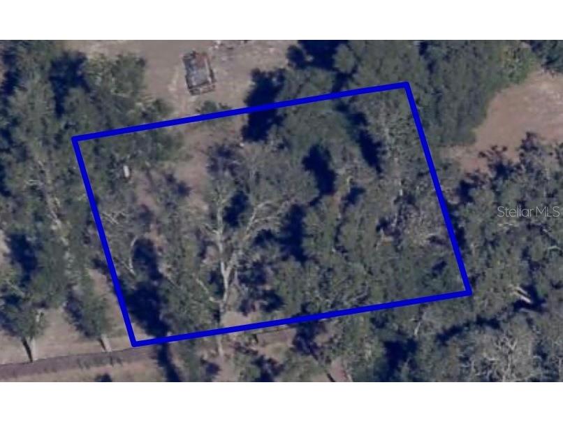 1621 Clarcona Road Apopka FL 32703 O6412795 image2