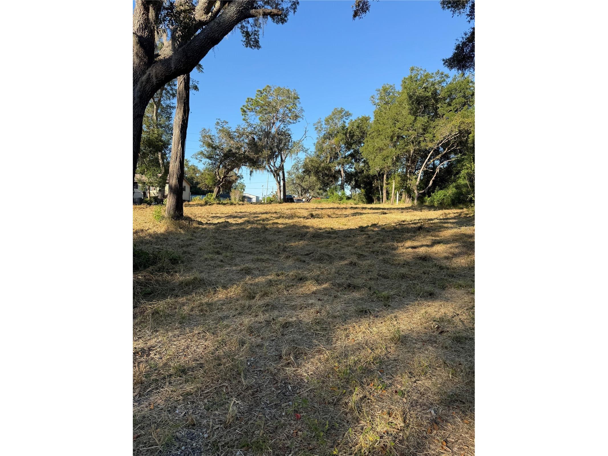 1621 Clarcona Road Apopka FL 32703 O6412795 image4