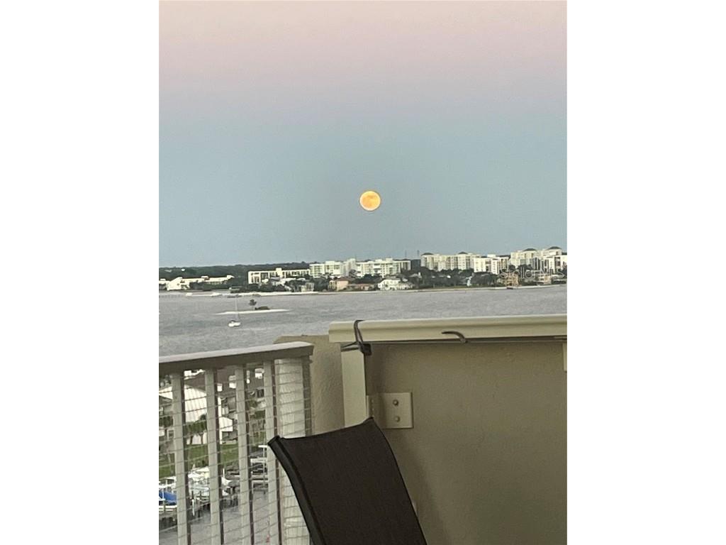 1621 Gulf Boulevard #1106 Clearwater Beach FL 33767 O6320471 image50