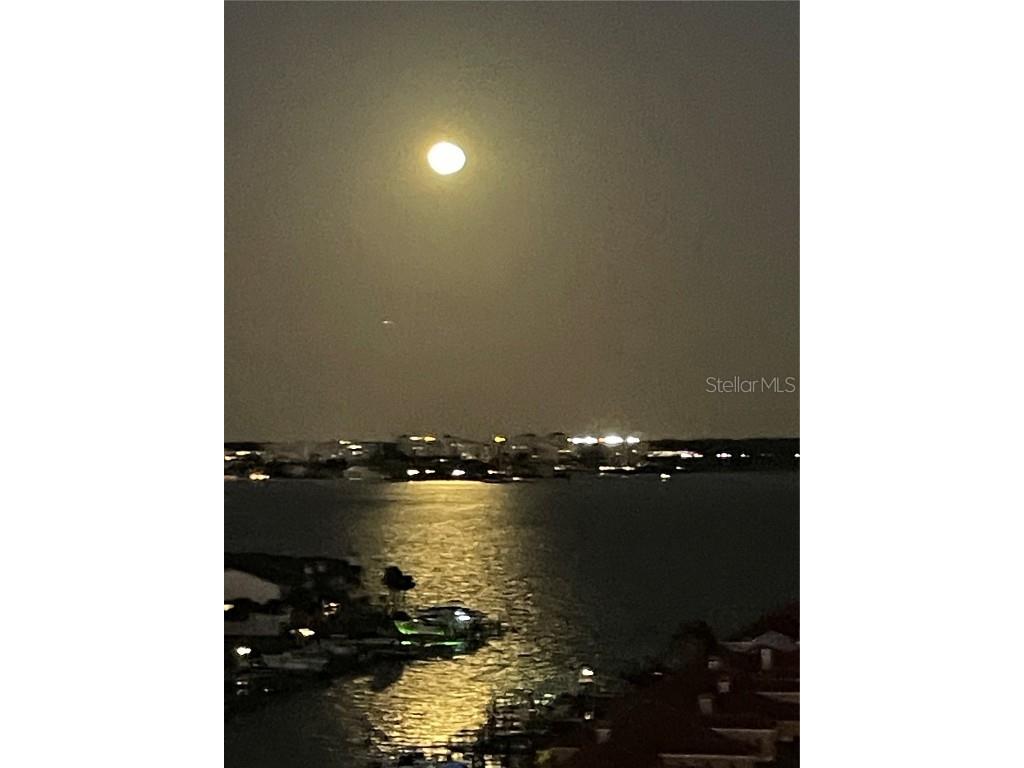 1621 Gulf Boulevard #1106 Clearwater Beach FL 33767 O6320471 image51