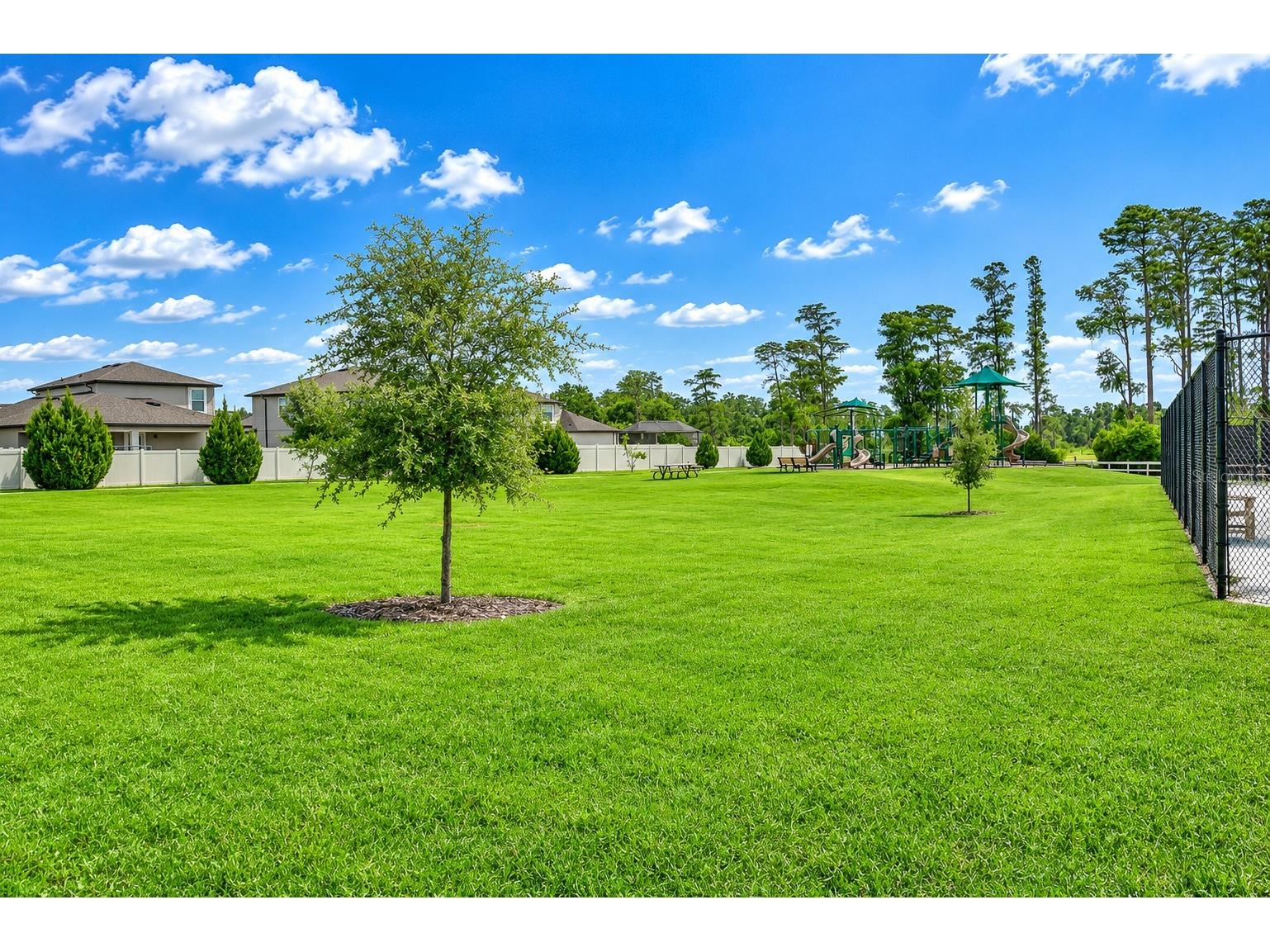 1621 Leaf Flower Lane Lutz FL 33558 TB8530238 image59
