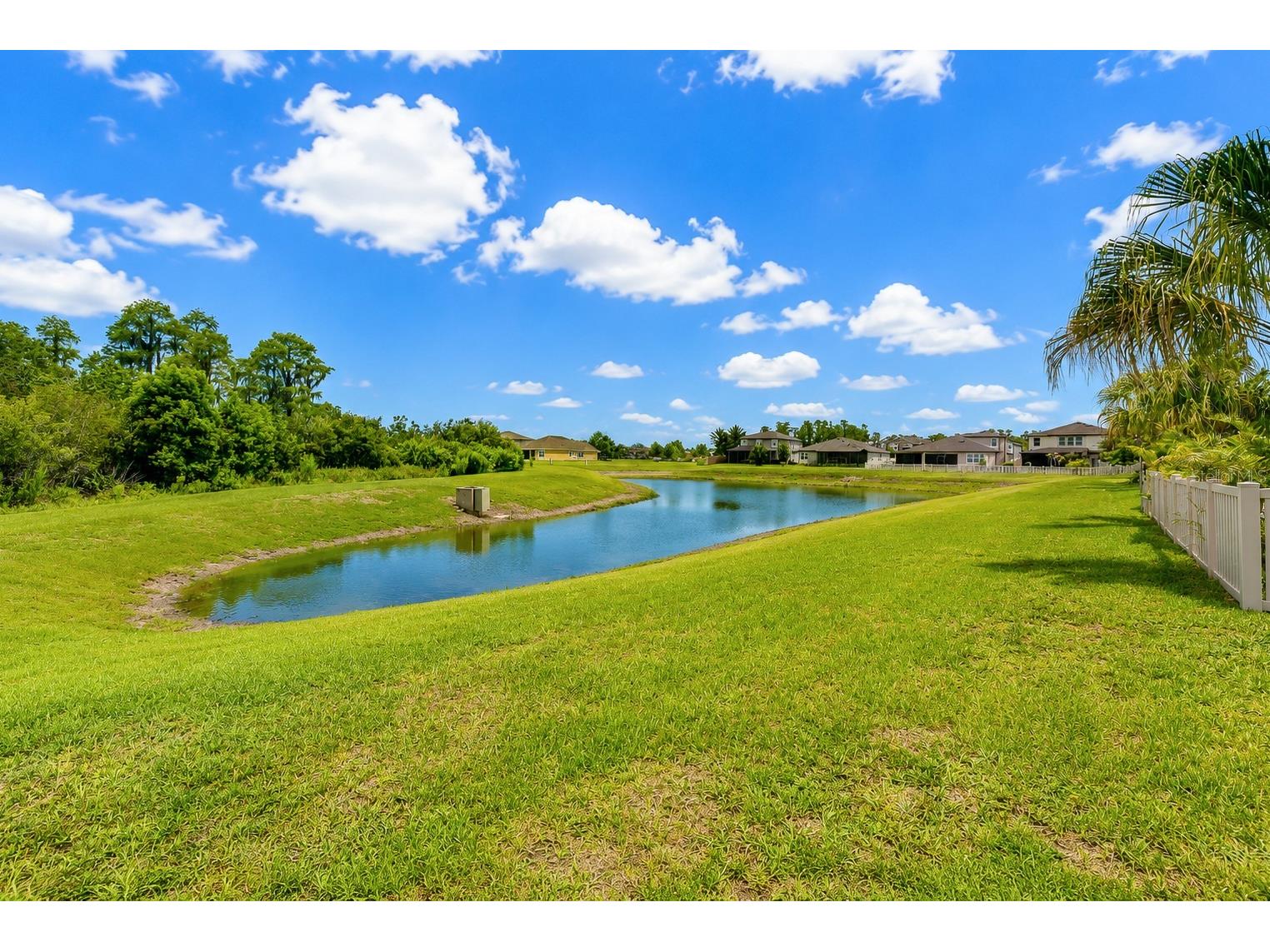 1621 Leaf Flower Lane Lutz FL 33558 TB8530238 image60